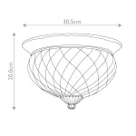 Потолочный светильник Hinkley Plantation HK-PLANTATION-FS-BB от ImperiumLoft