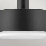 Подвесной светильник Hinkley Cedric HK-CEDRIC-P-M-BK от ImperiumLoft