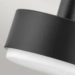 Подвесной светильник Hinkley Cedric HK-CEDRIC-P-M-BK от ImperiumLoft