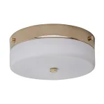 Потолочный светильник для ванной комнаты Elstead Lighting Tamar TAMAR-F-M-PG от ImperiumLoft
