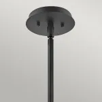Подвесной светильник Hinkley Lotus QN-LOTUS-P-BLK от ImperiumLoft