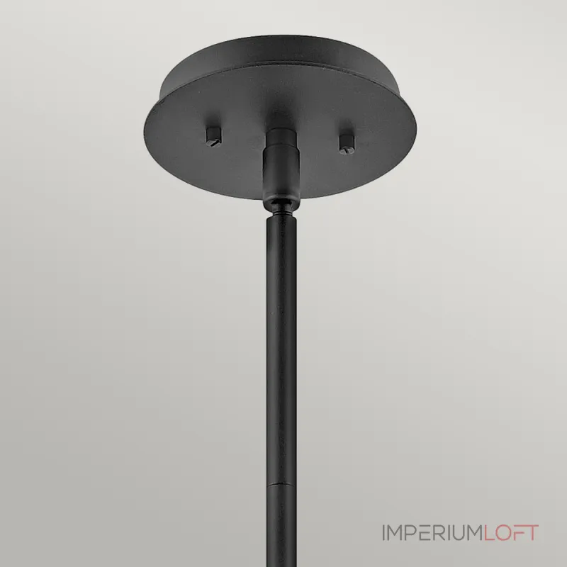 Подвесной светильник Hinkley Lotus QN-LOTUS-P-BLK от ImperiumLoft