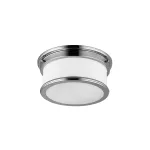 Потолочный светильник для ванны Feiss Payne FE-PAYNE-F-BATH от ImperiumLoft