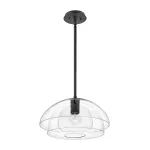 Подвесной светильник Hinkley Lotus QN-LOTUS-P-BLK от ImperiumLoft