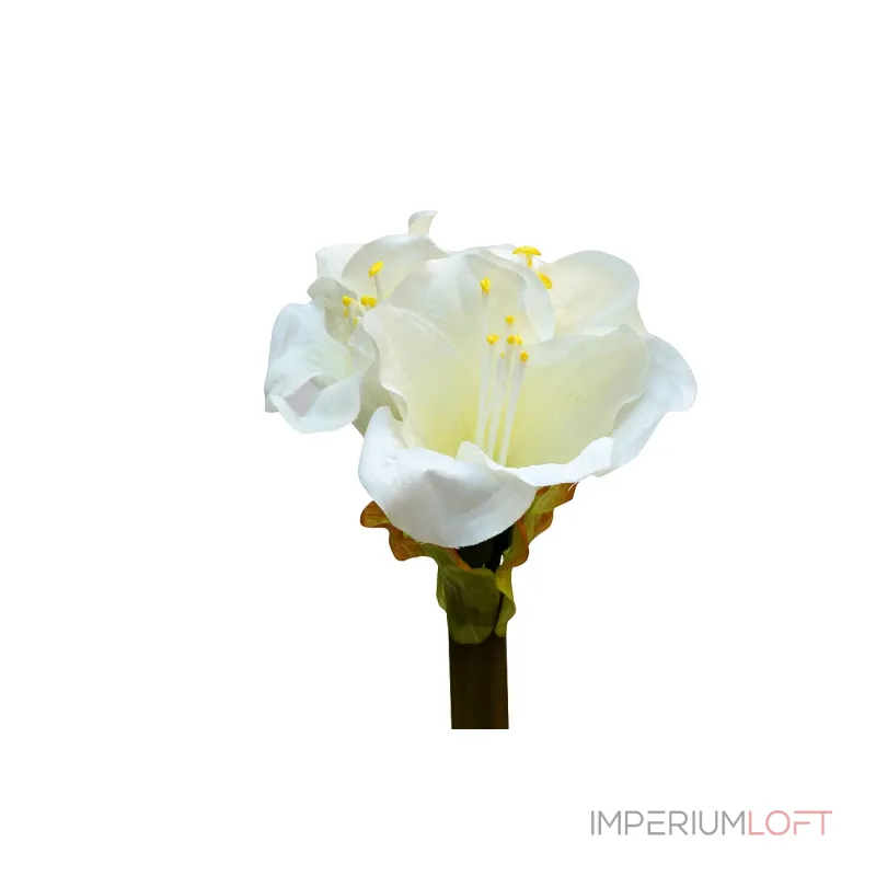 Амариллис кремовый 9F27273-1538CR от ImperiumLoft