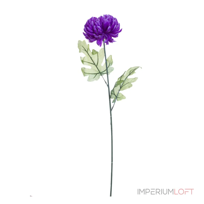 Хризантема фиолетовая 8J-13GS0002 от ImperiumLoft