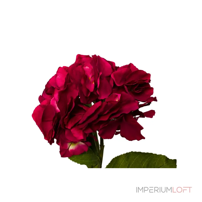 Гортензия алая 9F28060MK-4228 от ImperiumLoft