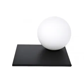 Лампа настольная ImperiumLoft BR-149055-53