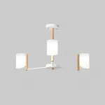 Люстра на штанге ANGE D70