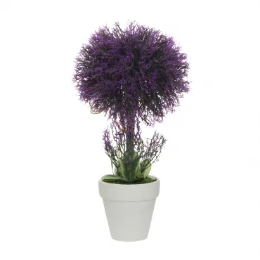 Лаванда в горшочке 8J-12CK0050 Лаванда в горшочке 8J-12CK0050