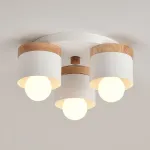 Потолочная люстра BERGSTEN D38