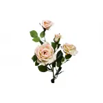 Роза чайная 9F27009M-4303 от ImperiumLoft