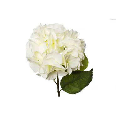 Гортензия белая 9F28060MK-1538