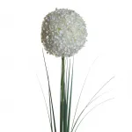 Алиум кремовый 8J-13RS0014 от ImperiumLoft