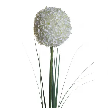 Алиум кремовый 8J-13RS0014 Алиум кремовый 8J-13RS0014