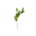 Листья жакаранды 9F27924N-4382 от ImperiumLoft