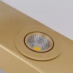 Люстра на штанге FOUNTAIN L100 Gold