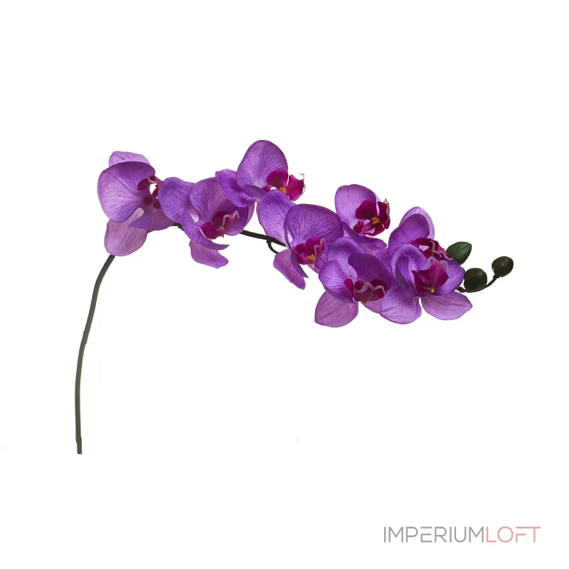 Орхидея лиловая 8J-1219S0005 от ImperiumLoft Орхидея лиловая 8J-1219S0005 от ImperiumLoft