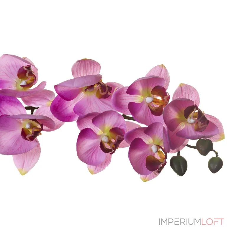 Орхидея розовая 8J-1219S0004 от ImperiumLoft