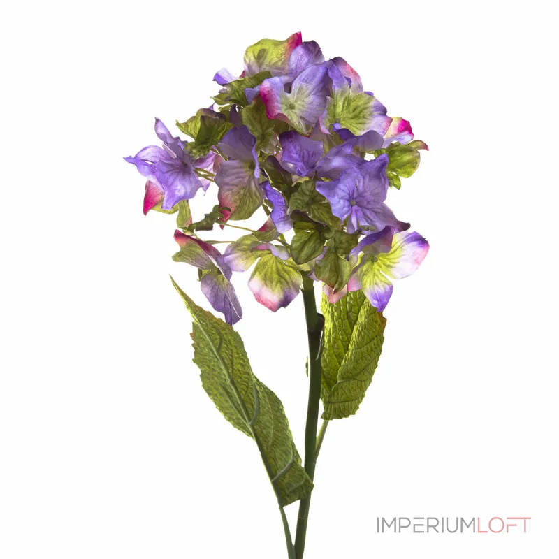 Гортензия фиолетовая 7A16F00017 от ImperiumLoft Гортензия фиолетовая 7A16F00017 от ImperiumLoft