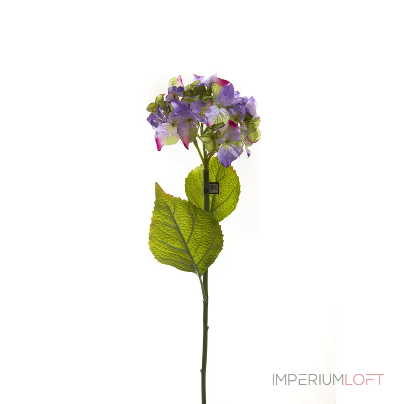 Гортензия фиолетовая 7A16F00017 от ImperiumLoft Гортензия фиолетовая 7A16F00017 от ImperiumLoft