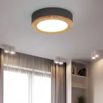 Потолочный светильник WUDDA D30 Розовый