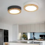 Потолочный светильник WUDDA D30 Розовый