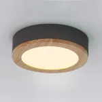 Потолочный светильник WUDDA D40 Серый