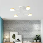 Потолочная люстра SCHEME LED