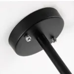 Люстра на штанге GEOMETRIC CH 3 черная