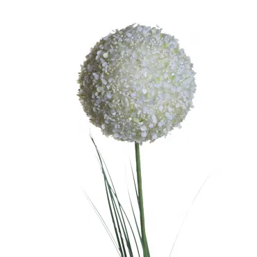 Алиум малый кремовый 8J-13RS0012 - 139725-53 Алиум малый кремовый 8J-13RS0012 - 139725-53