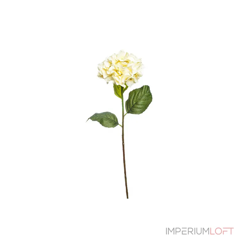 Гортензия кремовая 9F27033M-1499 от ImperiumLoft