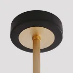 Люстра на штанге KINESIS