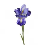 Ирис синий 9F27020-1382 от ImperiumLoft