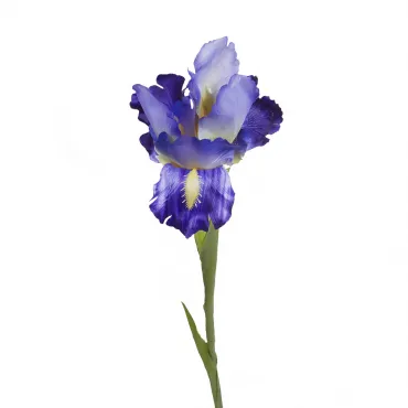 Ирис синий 9F27020-1382