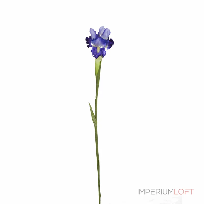 Ирис синий 9F27020-1382 от ImperiumLoft