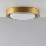 Потолочный светильник BUTTON GOLD D28 от ImperiumLoft