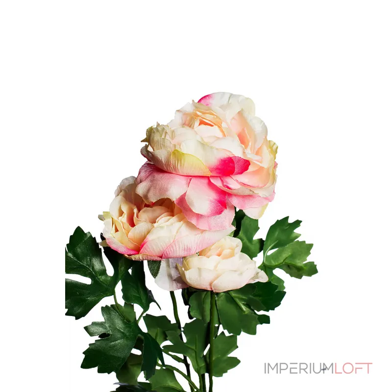 Пион белый 8J-13GS004-1 от ImperiumLoft Пион белый 8J-13GS004-1 от ImperiumLoft