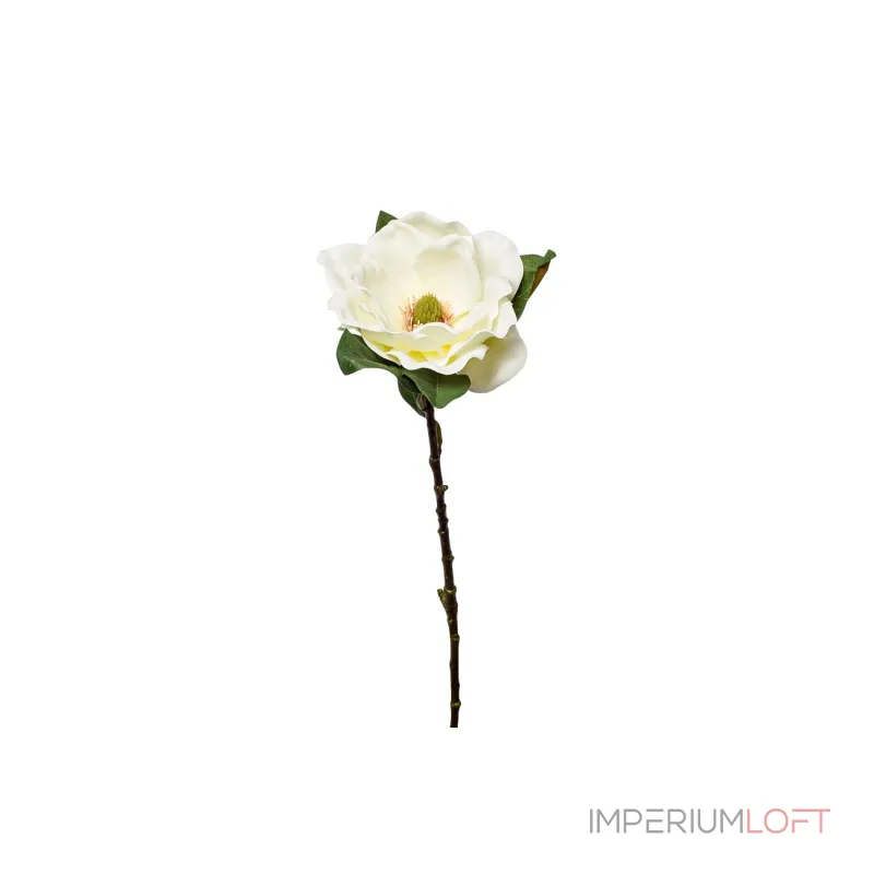 Магнолия белая 9F27785M-1538 от ImperiumLoft