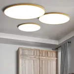 Потолочный светильник SLIM D40 Черный от ImperiumLoft