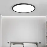 Потолочный светильник EXTRASLIM D50 Black от ImperiumLoft