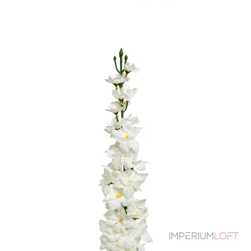 Дельфиниум белый 8J-17S0018/1 от ImperiumLoft