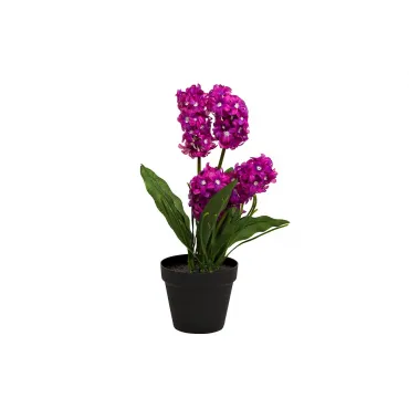 Гиацинт фиолетовый в горшке 8J-K0013/3 Гиацинт фиолетовый в горшке 8J-K0013/3