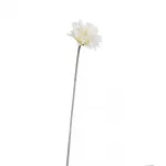 Гербера белая 9F27315F-1499 от ImperiumLoft