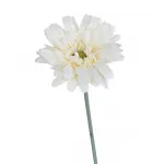 Гербера белая 9F27315F-1499 от ImperiumLoft