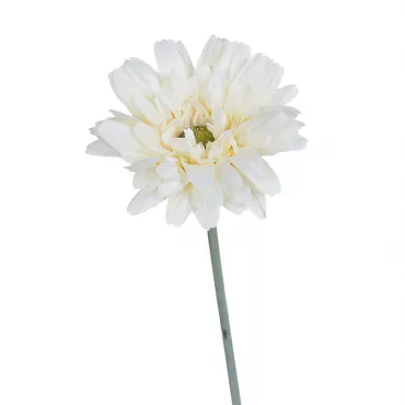 Гербера белая 9F27315F-1499 Гербера белая 9F27315F-1499