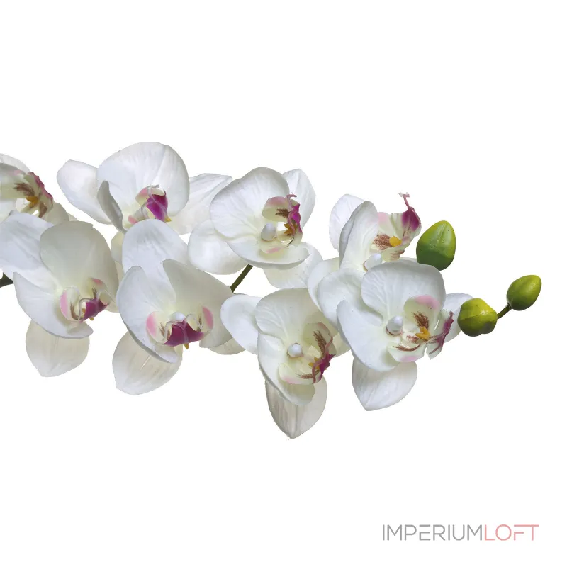 Орхидея белая 8J-1219S0003 от ImperiumLoft Орхидея белая 8J-1219S0003 от ImperiumLoft