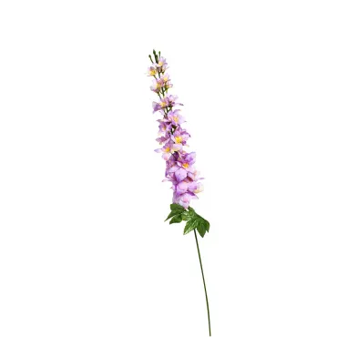 Дельфиниум сиреневый 8J-17S0018/3