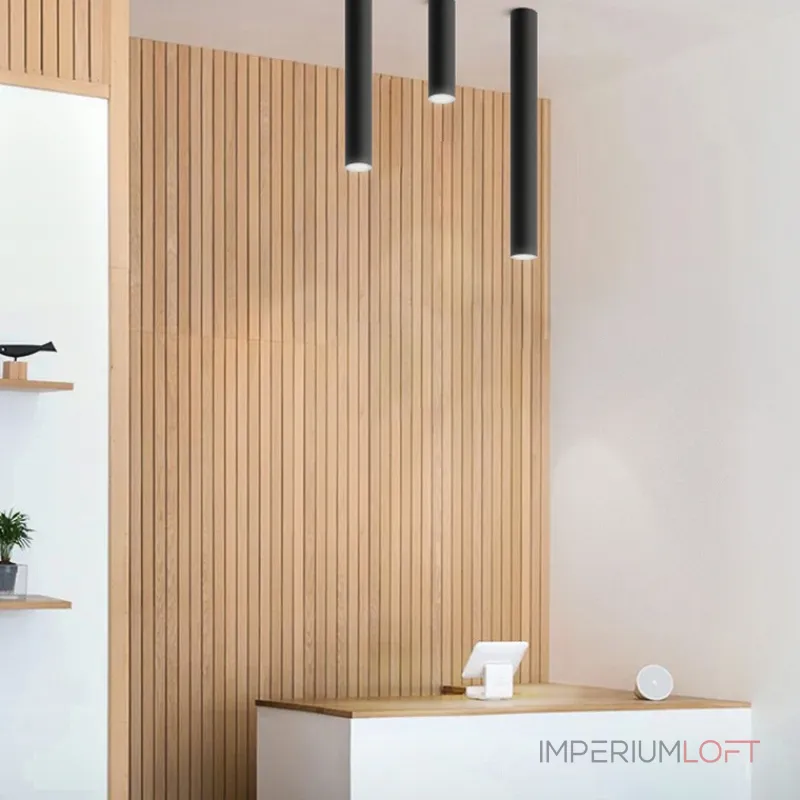 Потолочный светильник LINE H80 Black от ImperiumLoft