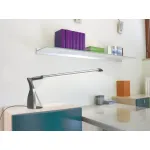 Настольная лампа Paulmann Linea13 79085 от ImperiumLoft
